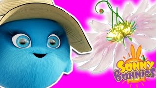 Cartoons For Children  Sunny Bunnies THE SUNNY BUNNIES MAGIC FLOWER  Funny Cartoons For Children [upl. by Arand875]