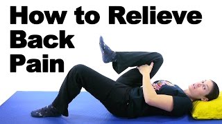 Back Pain Relief Exercises amp Stretches  Ask Doctor Jo [upl. by Naesal616]