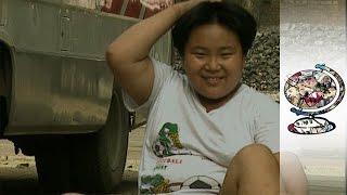 The Rise of Chinas Fat Camps [upl. by Alegnaoj]