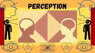 What is Perception Faculties of the Mind [upl. by Hnim]