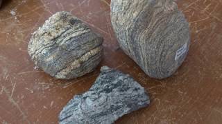 gneiss et migmatite [upl. by Trescott98]