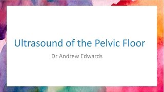 EP 6 The Pelvic Ultrasound [upl. by Marva]