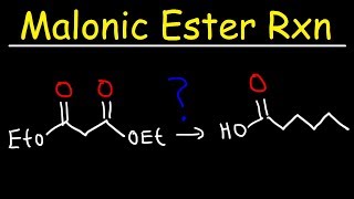 Malonic Ester Synthesis Reaction Mechanism [upl. by Einnoc925]