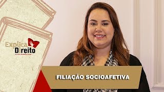 Explica Direito Filiação Socioafetiva  2019 [upl. by Vaios]