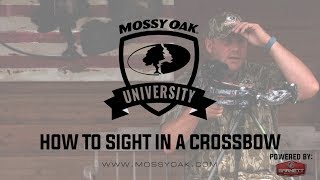 How To Sight In A Crossbow Scope [upl. by Eneroc952]