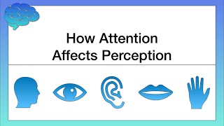 How Attention Affects Perception [upl. by Cherilynn268]