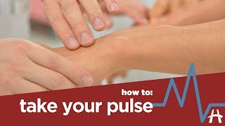 How to take your pulse [upl. by Hanover]