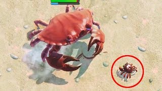 I AM THE KING OF ALL CRABS  King of Crabs  Ep1 [upl. by Riocard109]