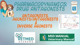 Drug Antagonists AgonistAntagonists and Inverse Agonists [upl. by Ninerb861]