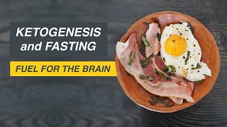 Ketogenesis and Fasting Fuel for the Brain [upl. by Atela]