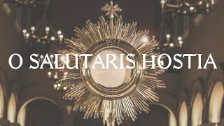 O Salutaris Hostia  Catholic Latin Hymn [upl. by Baler]