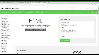 W3Schools Online HTML Tutorial [upl. by Eislel]