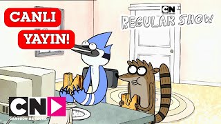 🔴 CANLI 🔴 SÜREKLİ DİZİ  2 Saatlik Maraton  Cartoon Network Türkiye [upl. by Deth]