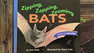 Zipping Zapping Zooming Bats Read Aloud [upl. by Livvy181]