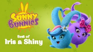 SUNNY BUNNIES  Iris and Shinys Top 10 Funniest Moments  Cartoons for Children [upl. by Inot536]