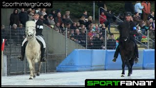 Islandpferde auf dem Eis  IceHorse 2015 [upl. by Pavlish]