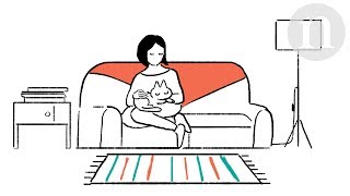 Cat domestication From farms to sofas [upl. by Placida]