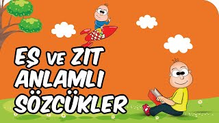 Eş ve Zıt Anlamlı Sözcükler  2 Sınıf Türkçe 📚 [upl. by Ellevehc]