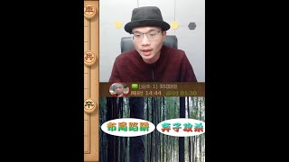 弃马棋路并非故弄玄虚，步步都有圈套！红方大爷输的落荒而逃 天天象棋 中国象棋 人生如棋 [upl. by Anaed]