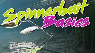 Bass Fishing Basics How To Fish A Spinnerbait [upl. by Tom]