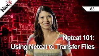 Netcat 101 Using Netcat to Transfer Files Haktip 83 [upl. by Biddle]