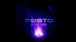 DJ Tiesto  In The Dark Dirty South Remix [upl. by Malinda]