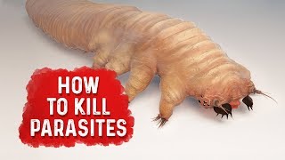 How To Kill Parasites  Dr Berg [upl. by Hilarius]