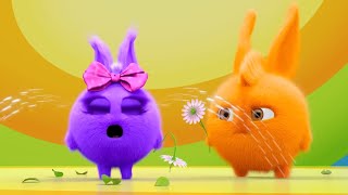 Sunny Bunnies  My Flower   SUNNY BUNNIES COMPILATION  Videos For Kids [upl. by Ahsead]