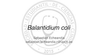 Balantidium coli [upl. by Arak]