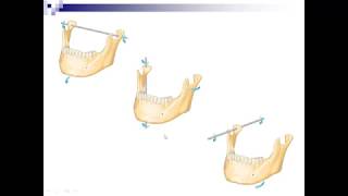 Lecture 7  Mandibular Movements [upl. by Urbai]