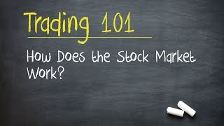 Trading 101 How Does the Stock Market Work [upl. by Hceicjow]