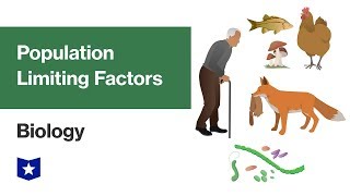 Population Limiting Factors  Biology [upl. by Goldstein]