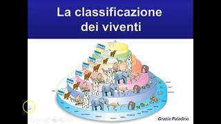 La classificazione dei viventi [upl. by Vary]