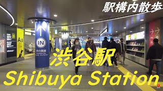 Take a walk inside Tokyo Shibuya Station 渋谷駅構内を散歩 [upl. by Rehoptsirhc402]