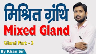 Mixed Gland  मिश्रित ग्रंथि  Part  3  Khan GS Research Center [upl. by Georgia300]