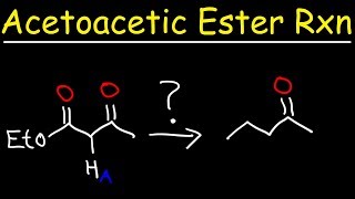 Acetoacetic Ester Synthesis Reaction Mechanism [upl. by June883]