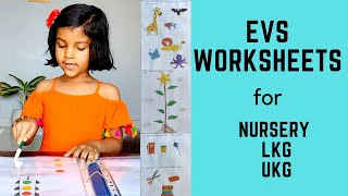 Daily Practice EVS Worksheets for Toddler Nursery LKG UKG Kindergarten Preschool  6 [upl. by Desiri]