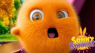 Cartoons for Children  SUNNY BUNNIES FULL SEASON 1  EP 1  26  Funny Cartoons For Children [upl. by Lavona954]