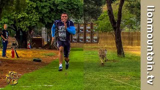 🔥 Bryan Habana vs Cheetah 🐆 The Ultimate Race for Survival 🏃💨 [upl. by Dominik]