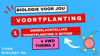 4 vwo  Voortplanting  1  Ongeslachtelijke voortplanting amp mitose [upl. by Xel]