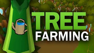 Complete Tree Farming Guide for OSRS [upl. by Nauqan376]