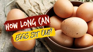 How Long Can Eggs Sit Out [upl. by Prendergast]