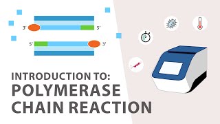 1 PCR Polymerase Chain Reaction Tutorial  An Introduction [upl. by Atinar]