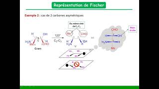 Cram Newman et Fischer [upl. by Ai]