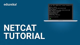 Netcat Tutorial  Introduction to Netcat  Cybersecurity Certification Training  Edureka [upl. by Aerdnad480]