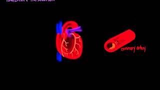 Ischemia and Infarction [upl. by Hennebery]