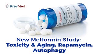 New Metformin Study Toxicity amp Aging Rapamycin Autophagy [upl. by Mcfarland]