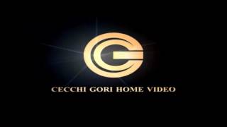 Cecchi Gori Home Video Cecchi Gori Group [upl. by Rothwell289]