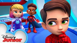 Meet Spidey and his Amazing Friends Short 11  WEBSTER  disneyjunior MarvelHQ​ [upl. by Godfree]