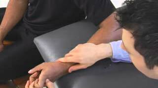 13 Lumbricals Palmar and Dorsal Interossei Muscle Length Test [upl. by Dela]